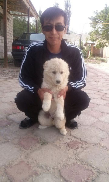 Тлеген Даулетбаев