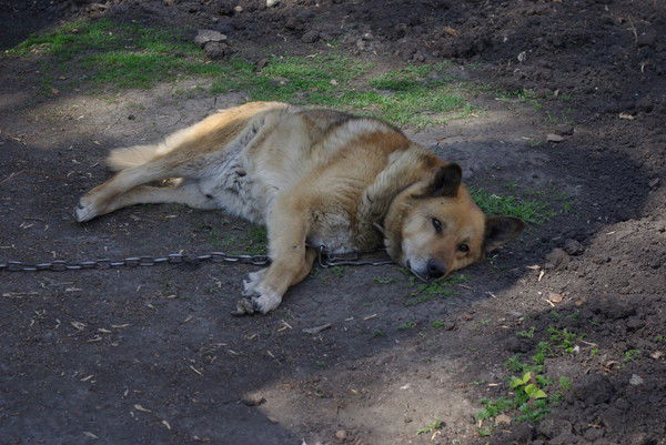 Кристина Девальд