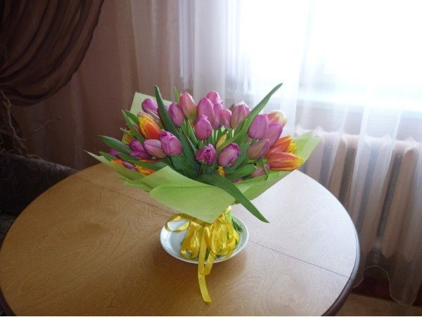 Дарига Картбаева