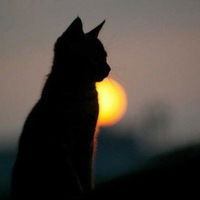 Венера Хуснетдинова