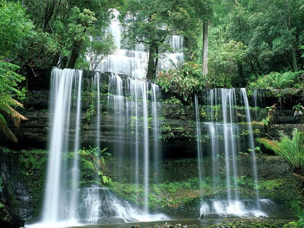 Павел Бердюгин