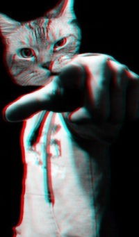 Рома Цыпляков