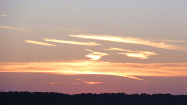 Дмитрий Шатохин