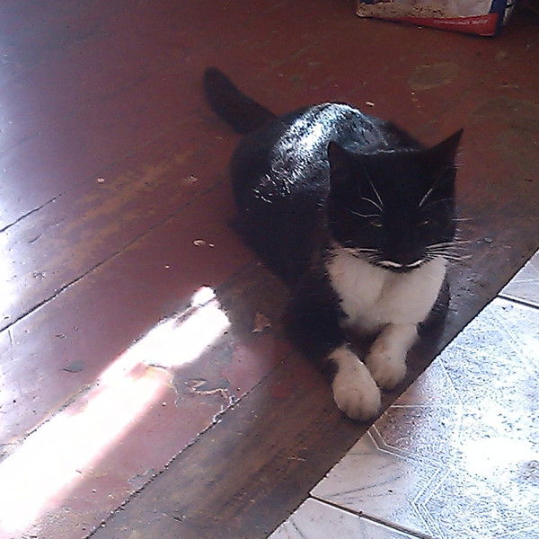 Сарвар Норматов