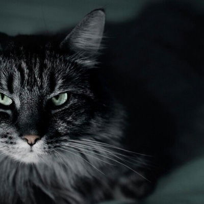 Кристина Русакова