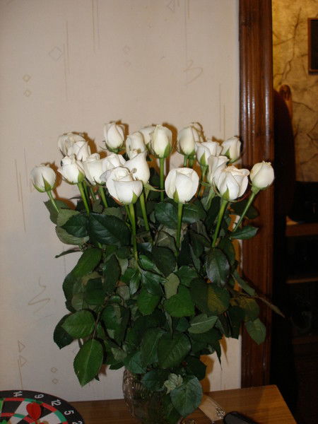 Наталья Мамотько