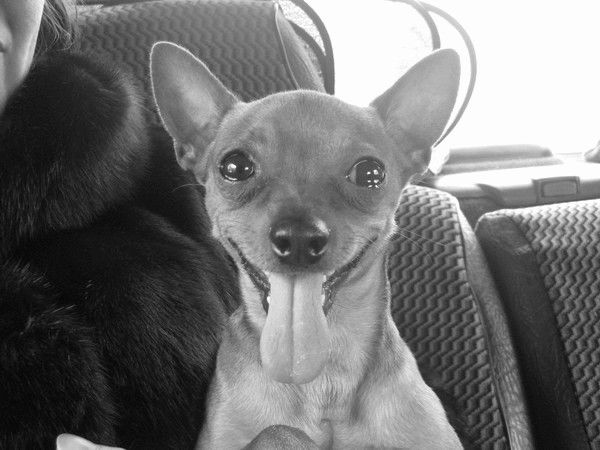 Данила Потапов