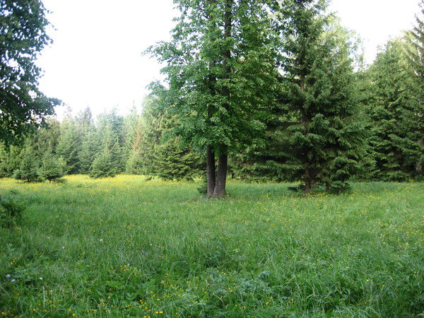 Лариса Филиппова