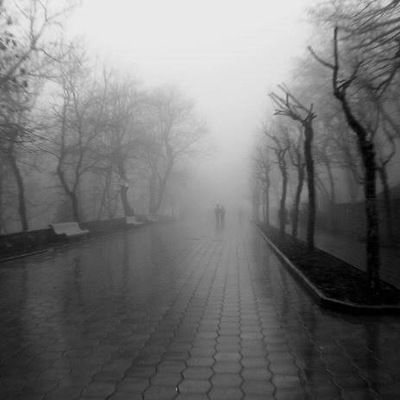 Дима Прищеп