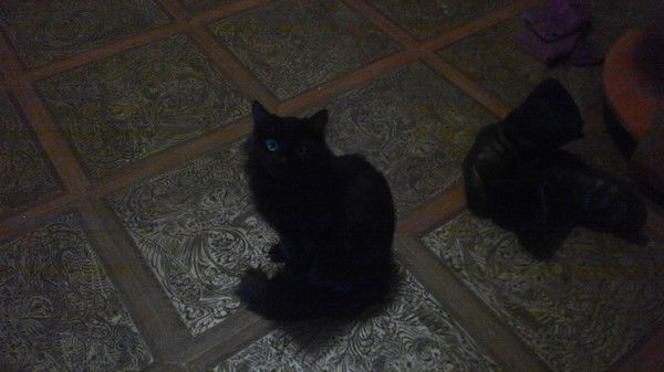 Я Такая, Ну Вот Такая Я .