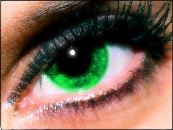 Людмила Родина