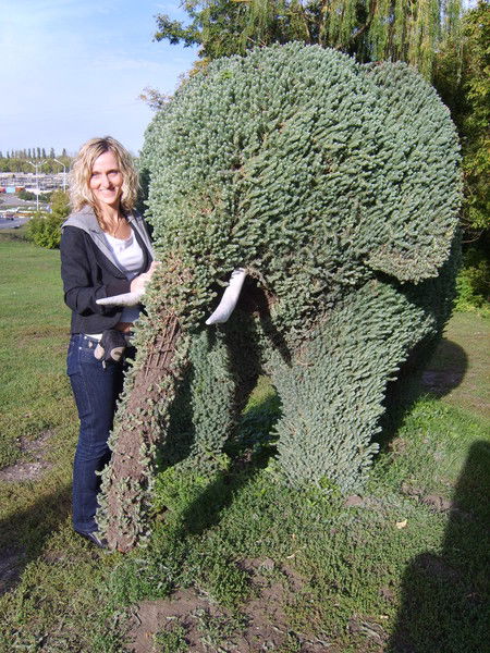 Света Медведева