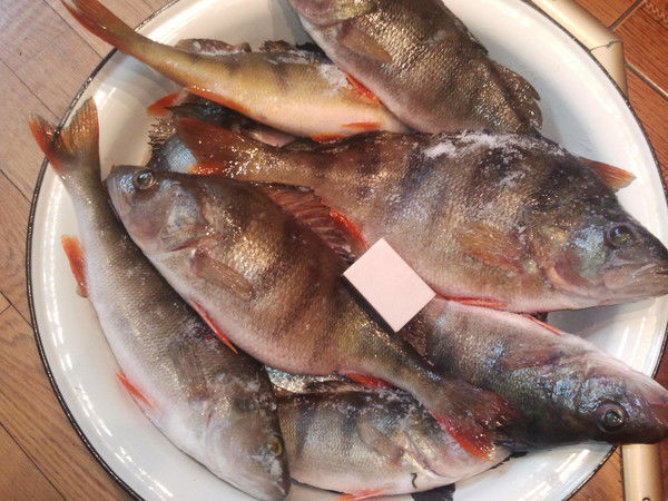 Сергей Петров