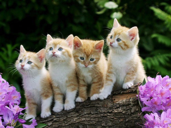 Гульмира Нуралина