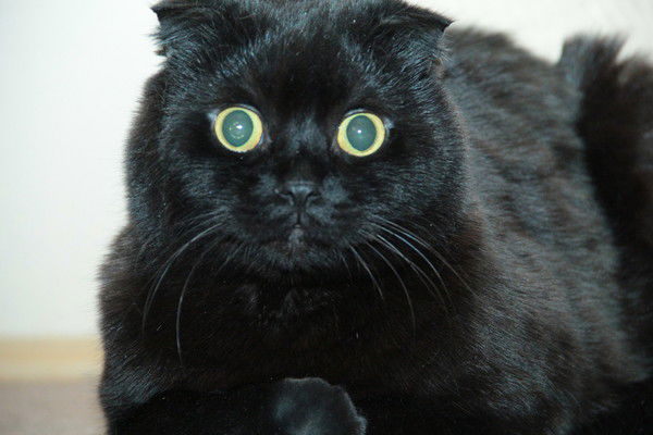 Павел Кренев