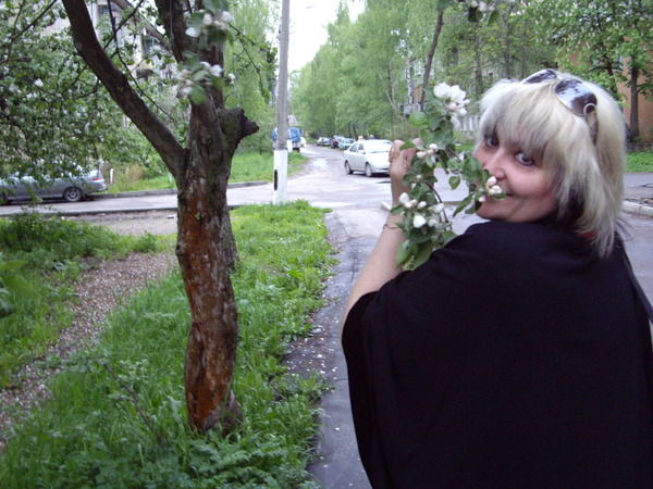 Елена Шипова