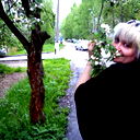 Елена Шипова