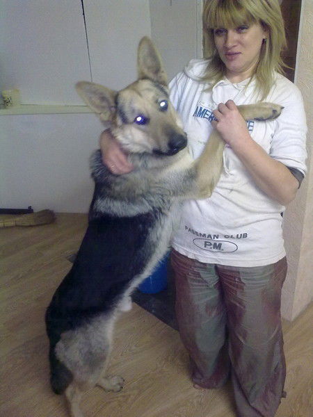 Ольга Крипак