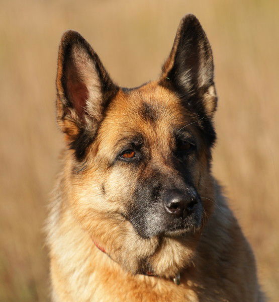 Ольга Федосеева