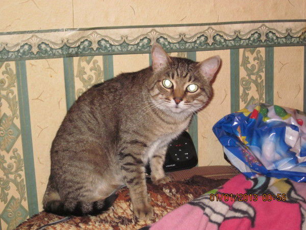 Вера Шеметова