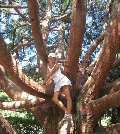 Ксения Погожих