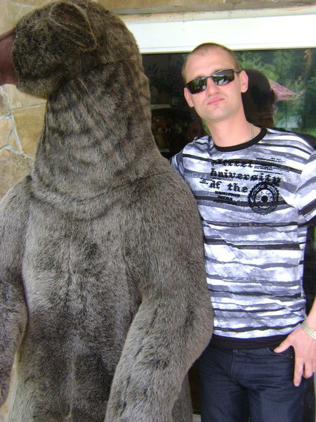 Артём Ковальчук