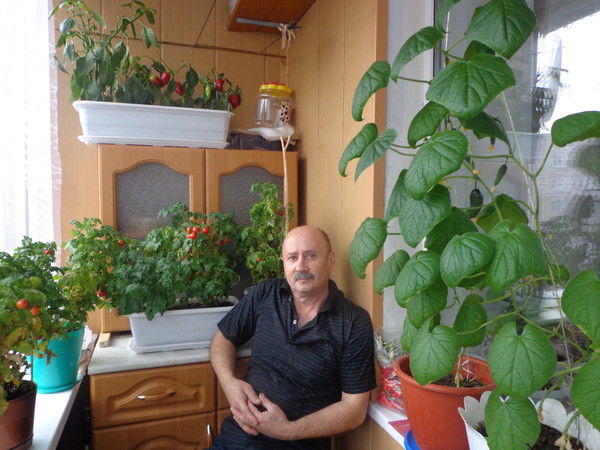 Александр Пелихов