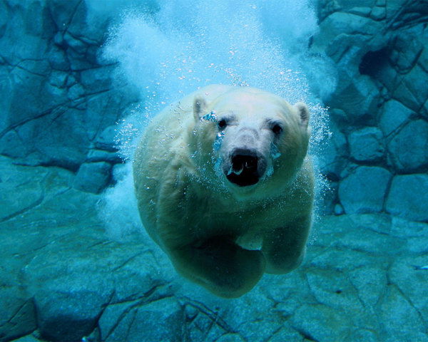 Динислам Невмянов