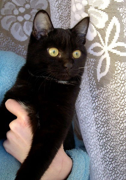 Лидия Казаченко