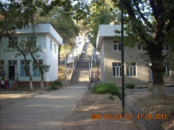 Корчагина Алена