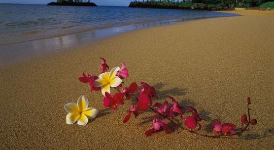 Фаина Франкова