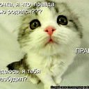 Зайка В Кеdах=)