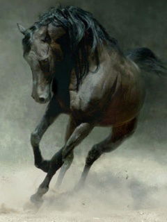 Сухраб Ибрагимов