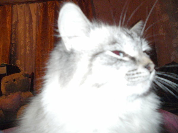 Лариса Егорова