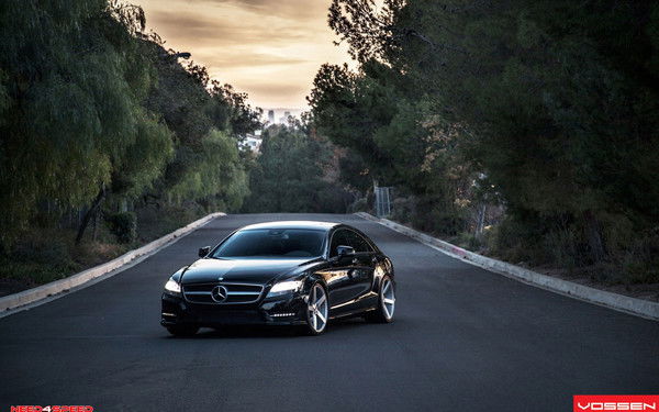 Олег Афанасьев