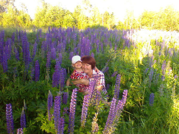 Елена Варивода