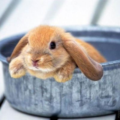 Катерина Осетрова