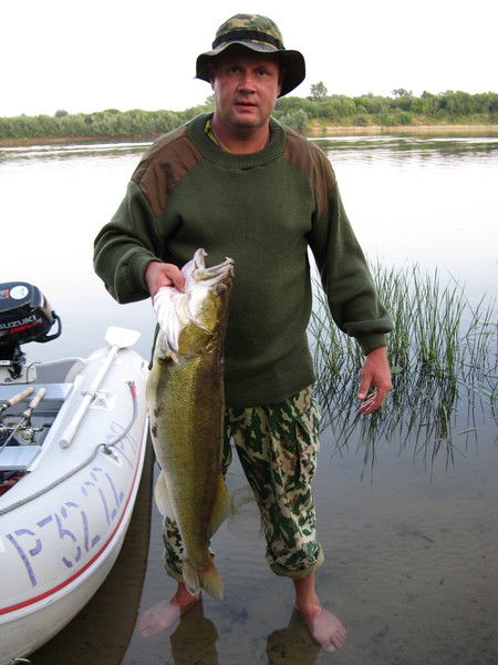 Вячеслав Трошкин