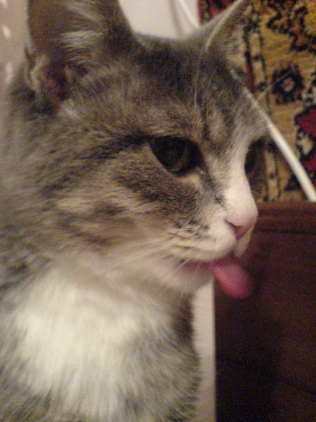 Аздана Исаева