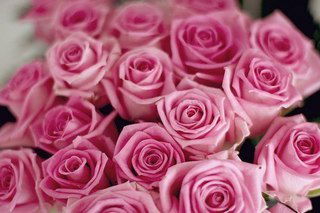 Жанар Байтленова