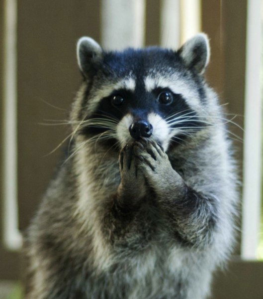 Юлия Векленко