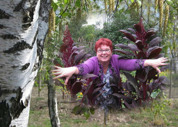 Галина Анисимова