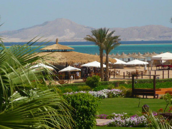 Лариса Кокшарова