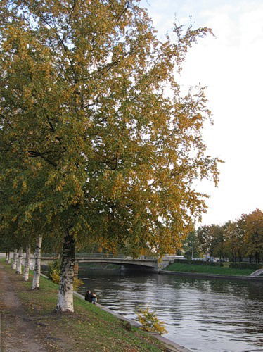 Николай Шарков