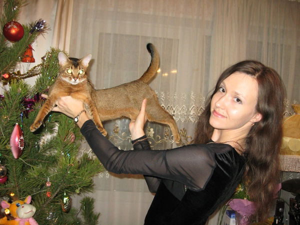 Елена Тихенькая