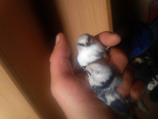 Рустам Жиганнуров