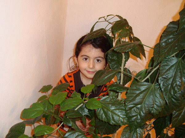 З Гаджиев