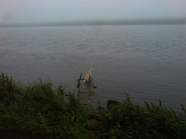 Владимир Вербицкий