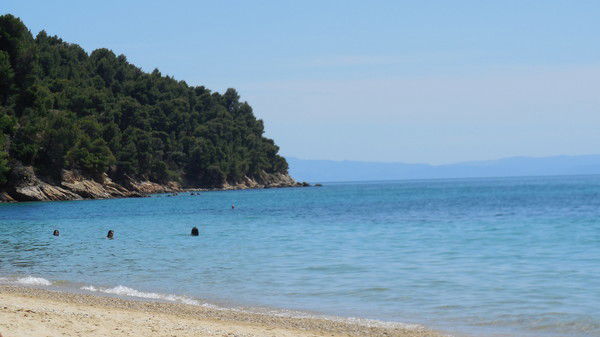 Татьяна Кольцова