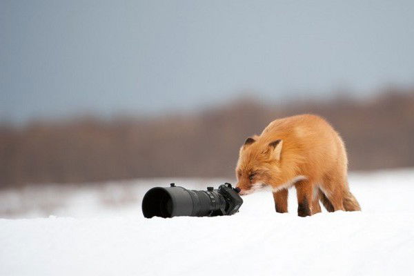 Абай Айсагалиев